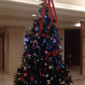 早々と クリスマスツリーが飾られた❣️の画像