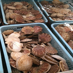 初めての体験の画像