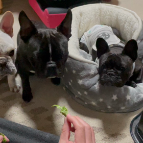 動きませんの画像