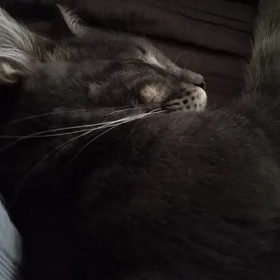 ちゃんとそこにいる ？の画像