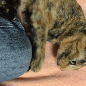 有給休暇消化の画像