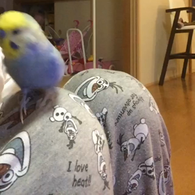 ロクとのイチャイチャTimeこっそり公開♪笑の画像