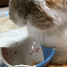 明日の2時の画像