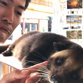 コーヒーの子の画像