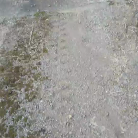 今日はいつものコースですの画像