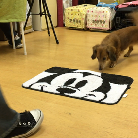 チェリー編。の画像