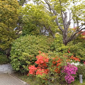 公園に一角にある自然動物園の画像