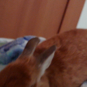 ４日ぶりの画像