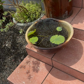 いい天気です。最近のお問い合わせ返答の画像