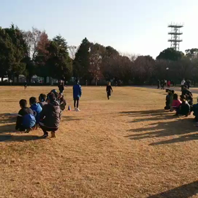 10色リレー⑤の画像