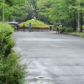 5/20 リレー選考会⑤の画像