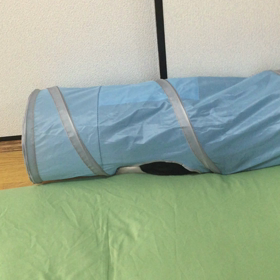 楽しいらしいの画像