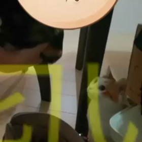 お尻がクサイ？(　ﾟ∀ﾟ)<ﾌﾟｯﾌﾟｰの画像