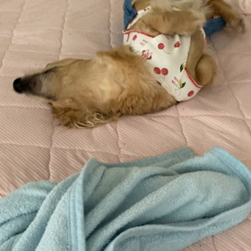 なにみてんのよの画像