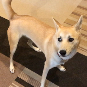 めいの大運動会の画像