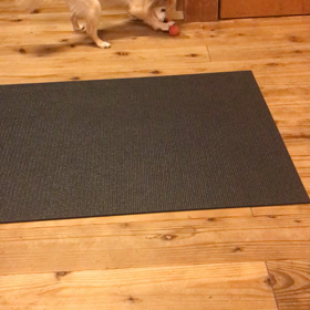 家ばっかり反抗するぞの画像