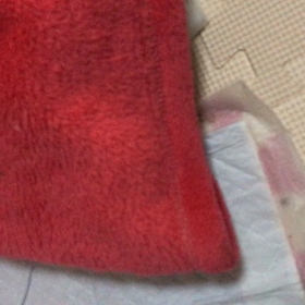 きなこ備忘録② ふらつき悪化の画像