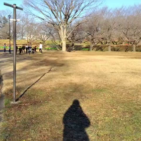 1/6 クロカンダッシュ③の画像