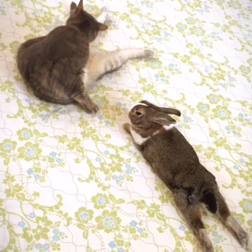 むぼーびBOYの画像