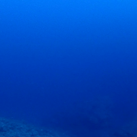 自然との向き合い方＊°+.の画像