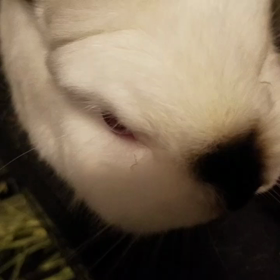 撮影失敗？の画像