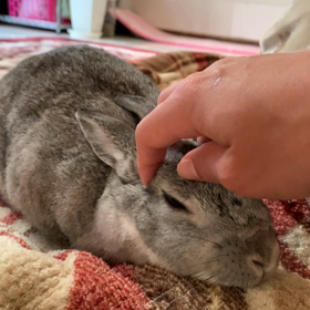 スープ作り☆の画像