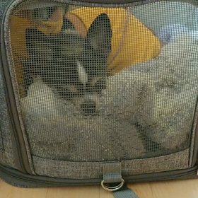 今年１番の嬉しいできごとの画像