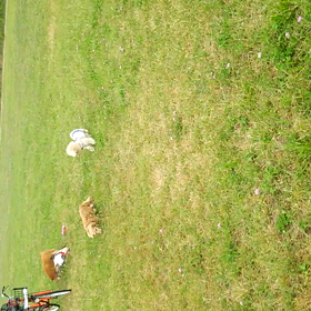 パパ～！の画像