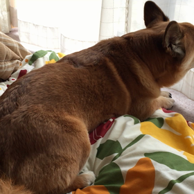 久しぶりの大熱唱♪の画像