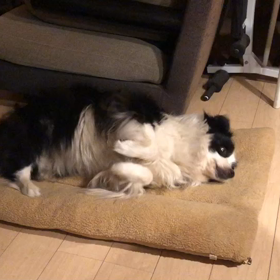 眠くて眠くて‥の画像