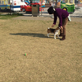 明けましておめでとうございます。の画像