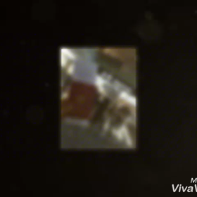 台湾(台北)旅行の画像