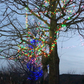 イルミネーションの画像