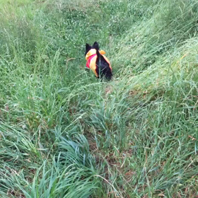 雨は嫌いの画像