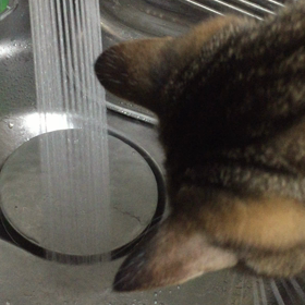 そうだったのか！の画像