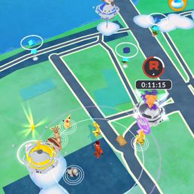 野生のサーフゴーにパイナップルの画像