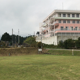 カラス追い払いの画像