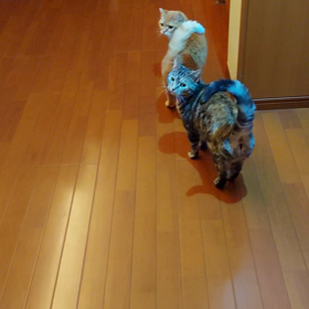 花と竜　７９の画像