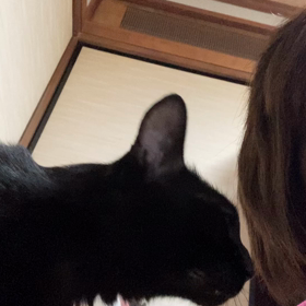 安全⁇確認⁇と仕事納めの主人の画像