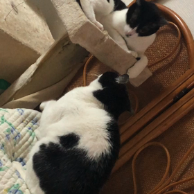 外に出られないの画像