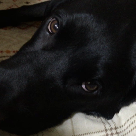 三女帰宅の画像