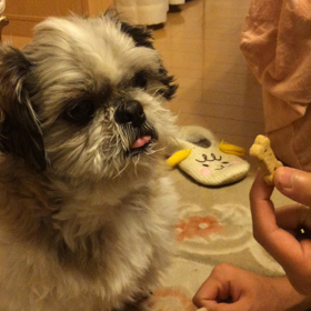 意地悪な待ての画像