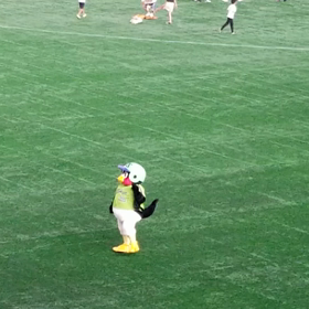 投げ込みの画像