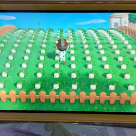 ほぼ全財産投げ打って、カブを購入！の画像