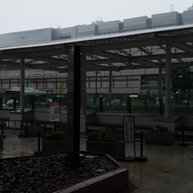 ザーザー(((((゜゜;)の画像