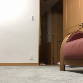 先住猫デールと新入りマリー…どうなる？の画像