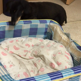 ヨイショ、ヨイショの画像