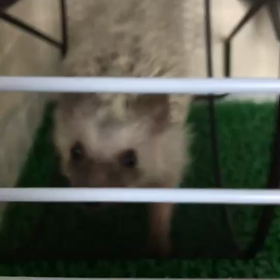 12月5日。の画像