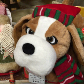 おっさん犬。の画像