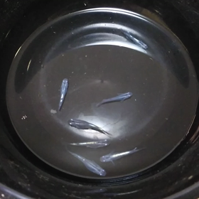 第一位は…の画像